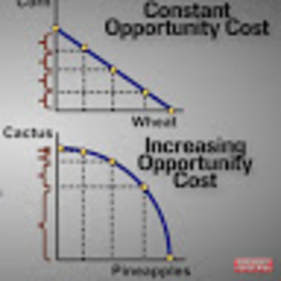 Meet your Posher, D - Picture 1 of 1